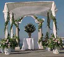 Bridal Canopy